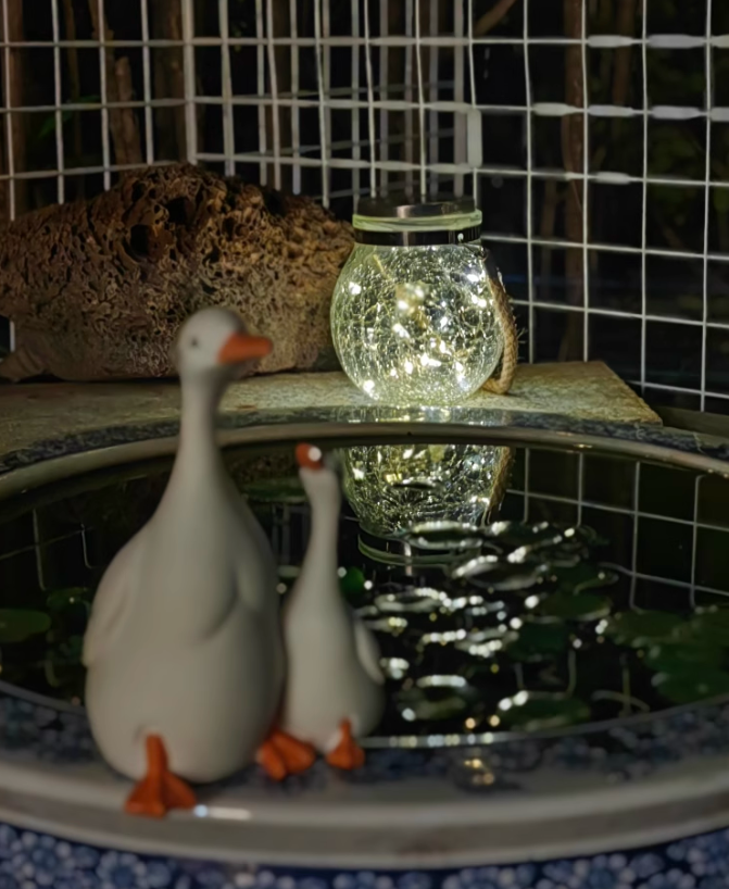 Oíche Fhilíochta á Casadh againn! Ambience Solas Beag Soilsíonn Cúinne Micrearómánsúil