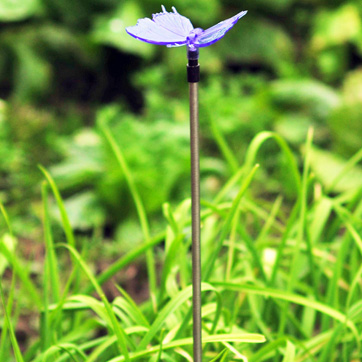 Solas Stake Féileacán Gréine