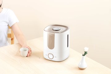 Feidhm humidifier? Conas humidifier a cheannach?